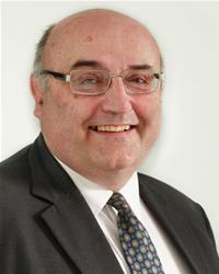 Profile image for Councillor Stephen Godfrey